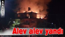 ALAPLIDA YANGIN KORKUTTU