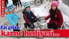 TORUNLARA KARNE HEDİYESİ KARDAN TİMSAH VE KÖPEKBALIĞI