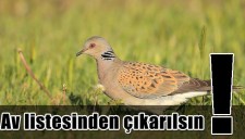 AV LİSTESİNDEN ÇIKARILSIN