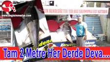 TAM 2 METRE HER DERDE DEVA...