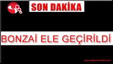 ALAPLIDA 8 GRAM BONZAİ ELE GEÇİRİLDİ