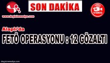 ALAPLI DA FETÖPDY OPERASYONU YAPILDI ; 12 GÖZ ALTI...