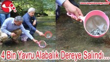 4 BİN YAVRU ALABALIK DEREYE SALINDI...