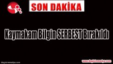 - KAYMAKAM BİLGİN SERBEST BIRAKILDI