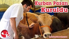 KURBAN PAZARI KURULDU