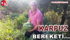 KARPUZ BEREKETİ...