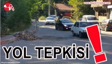 YOL TEPKİSİ