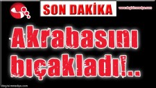 MİNİBÜSTEN İNEN AKRABASINI BIÇAKLADI