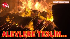 ALEVLERE TESLİM OLDU...