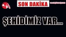 KOMŞUYA ŞEHİT ATEŞİ DÜŞTÜ...