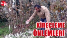 FINDIKTA KİREÇLEME ÖNLEMLERİ...