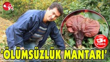 HER DERDE DEVA, KİLOSU BİN LİRA...