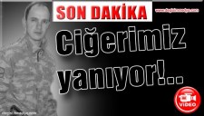 CİĞERİMİZ YANIYOR... ŞEHİTİMİZ VAR...