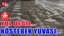 YOL DEĞİL... KÖSTEBEK YUVASI...
