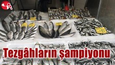 TEZGÂHLARIN ŞAMPİYONU