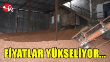 FİYAT YÜKSELİYOR...