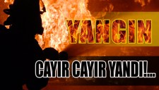 CAYIR CAYIR YANDI ..