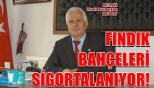 Fındık bahçeleri sigortalanıyor