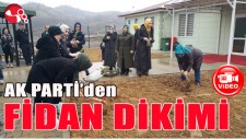 AK PARTİden FİDAN DİKİMİ...