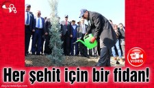 HER ŞEHİT İÇİN BİR FİDAN