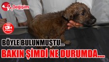 BÖYLE BULUNMUŞTU... BAKIN ŞİMDİ NE DURUMDA....