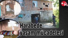HARABEDE YAŞAM MÜCADELESİ