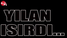 YILAN ISIRDI...