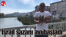İsrail sazanı avı başladı