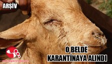 Gümeli beldesi için karantina kararı alındı