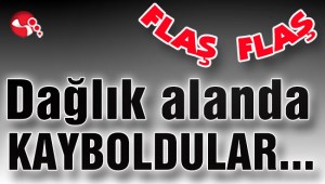 Dağlık alanda KAYBOLDULAR...
