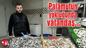 Palamutun yokluğunda vatandaş...