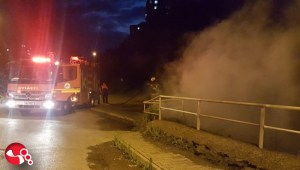 Canı sıkılan gençler ormanı yakacaktı…