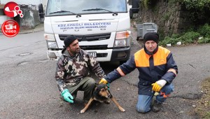 Acı olay ile bu dostluk sona erdi…