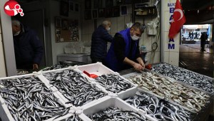 Balıkçılar palamuttan sonra hamsiden umutlu