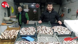 Hamsi yasağı kalktı ama tezgahlar boş kaldı