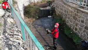 Yaralı atmacanın yardımına itfaiye ekipleri koştu