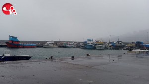 Limana sığındılar