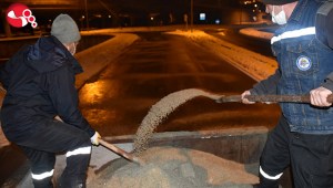 Buzlanmaya karşı tuzlama…