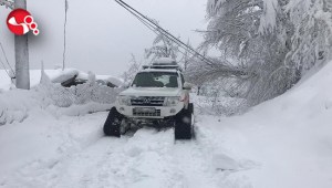 Paletli ambulansla yetiştirdiler