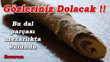 BU AY YILDIZLI DAL, ASLINDA ÇOK ŞEY ANLATIYOR