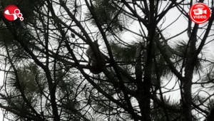 İtfaiye aracından atlayarak kayıplara karıştı