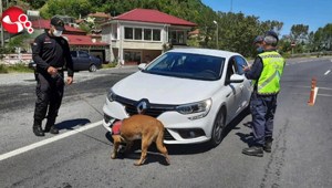 856 şahısa toplam 377.903 TL cezai işlem...