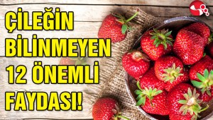 ÇİLEĞİN BİLİNMEYEN 12 ÖNEMLİ FAYDASI
