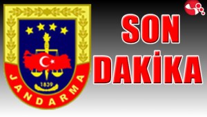 Yasa dışı yollarla Türkiyeye girdiler: Gözaltındalar...