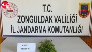 Kenevir Operasyonu..