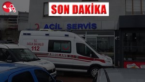 Üzerine demir kapı düştü..