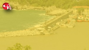 Liman sarıya boyandı