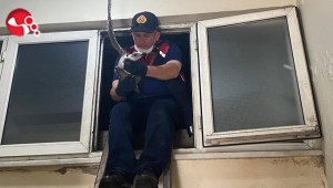 Apartman boşluğuna düşmüştü..