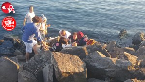 Kayalıklardan düştü, yaralandı