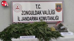 Evde ve bahçede ele geçirildi